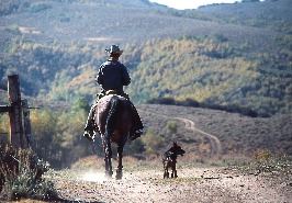 abel cowboy and his dog